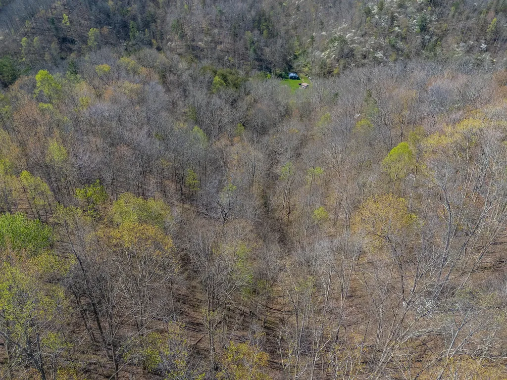 421 Stinson Branch Road West Liberty KY 41472