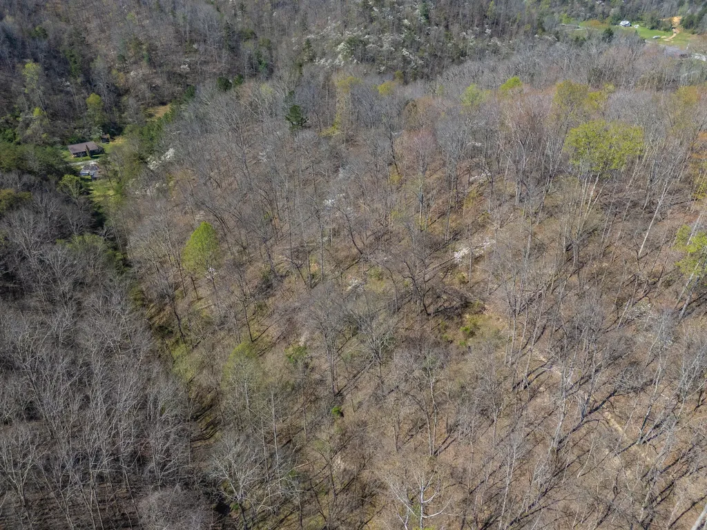 421 Stinson Branch Road West Liberty KY 41472