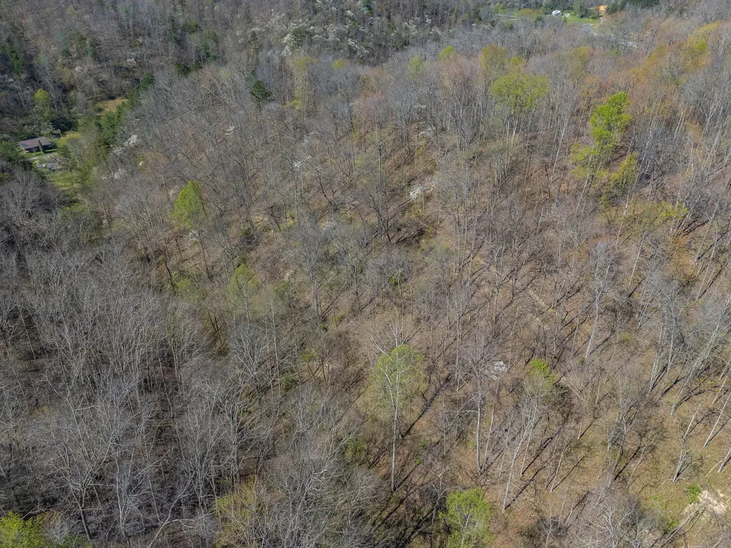421 Stinson Branch Road West Liberty KY 41472
