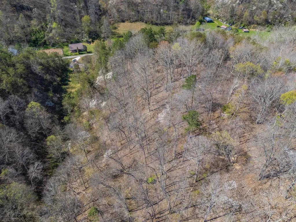 421 Stinson Branch Road West Liberty KY 41472