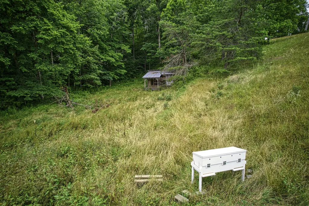 8228 Highway 705 West Liberty KY 41472