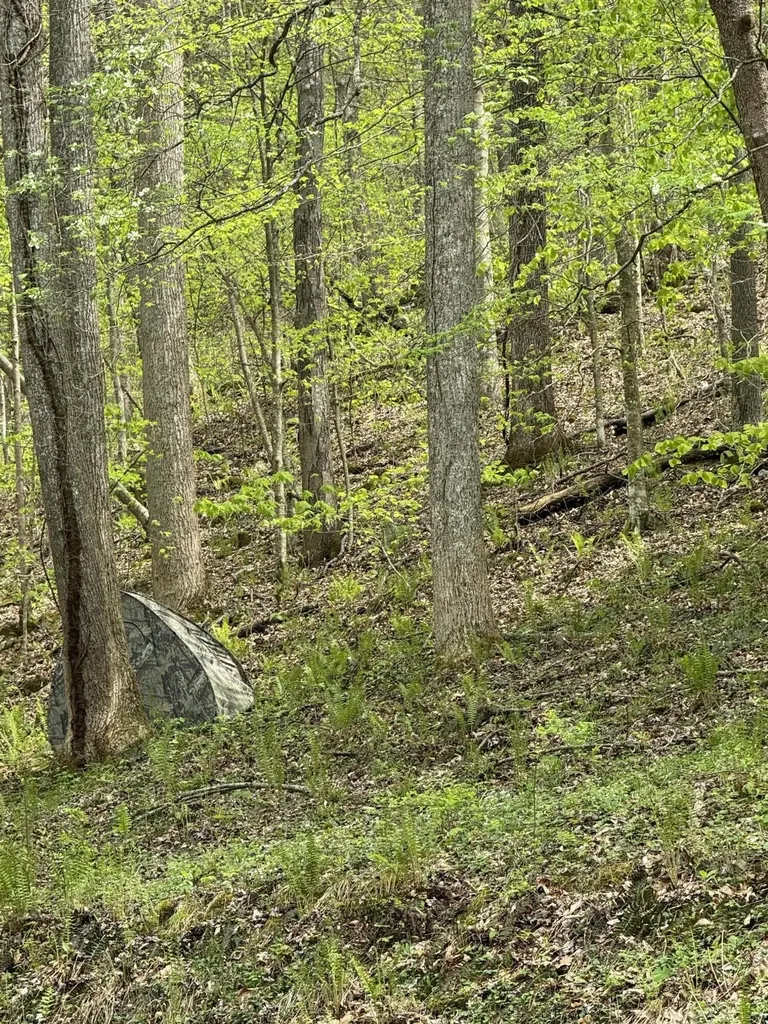 454 SW Four Mile, Right Fork Road Fourmile KY 40939