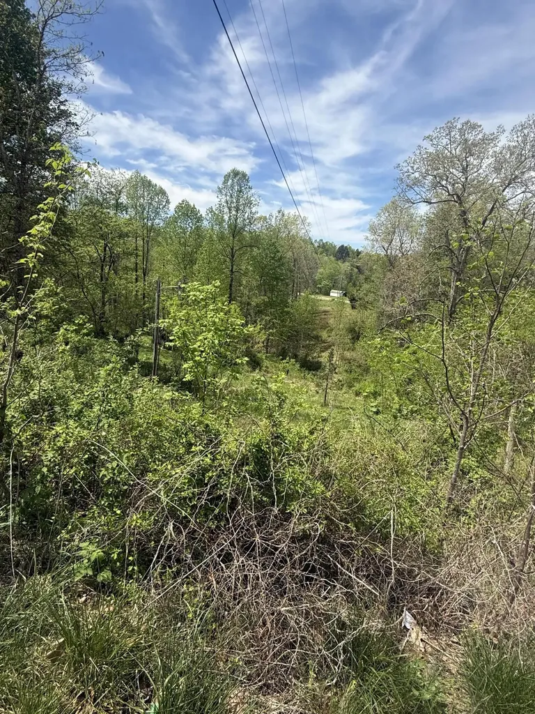 1325 State Highway 1036 Campton KY 41301