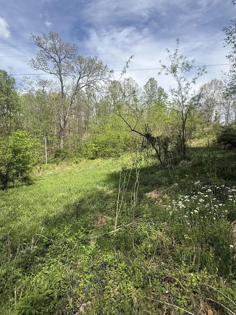1325 State Highway 1036 Campton KY 41301