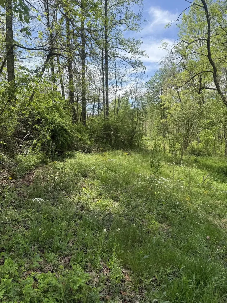 1325 State Highway 1036 Campton KY 41301