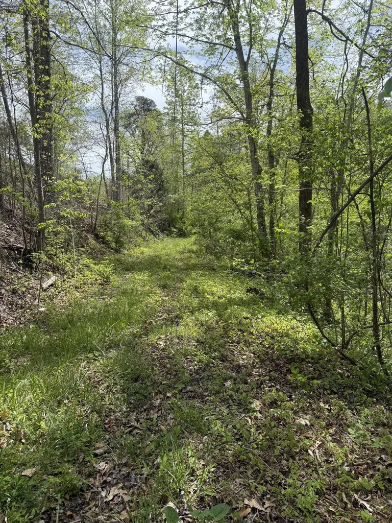 1325 State Highway 1036 Campton KY 41301