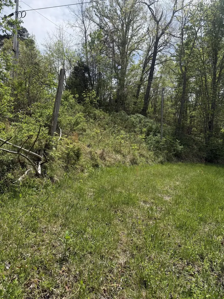 1325 State Highway 1036 Campton KY 41301