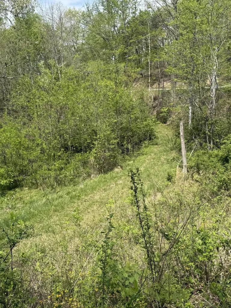 1325 State Highway 1036 Campton KY 41301