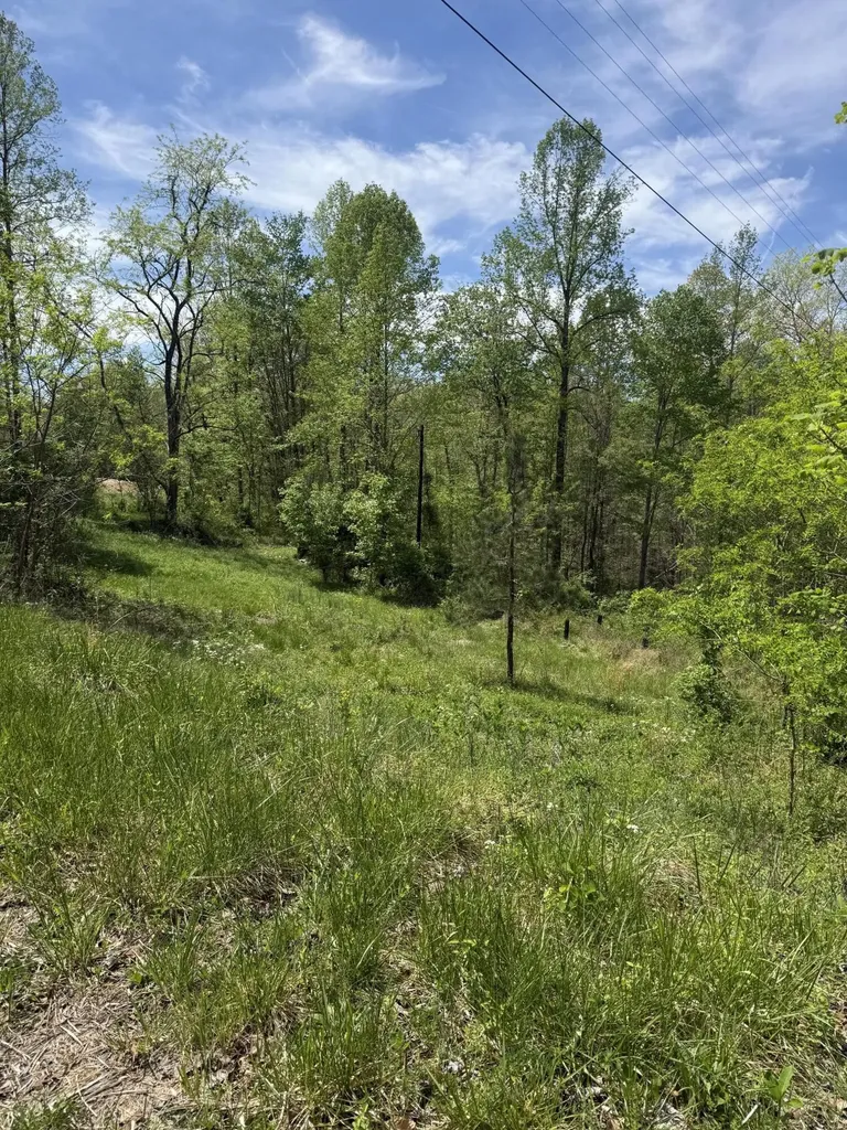 1325 State Highway 1036 Campton KY 41301