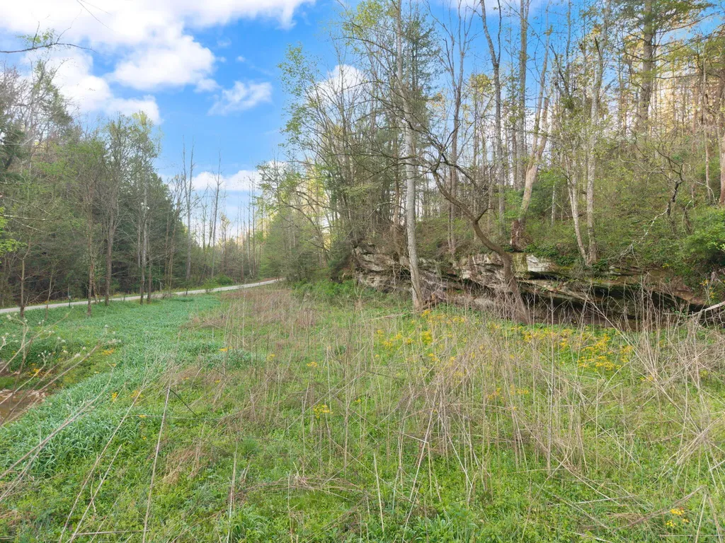 165 Pomeroyton-wellington Road Wellington KY 40387