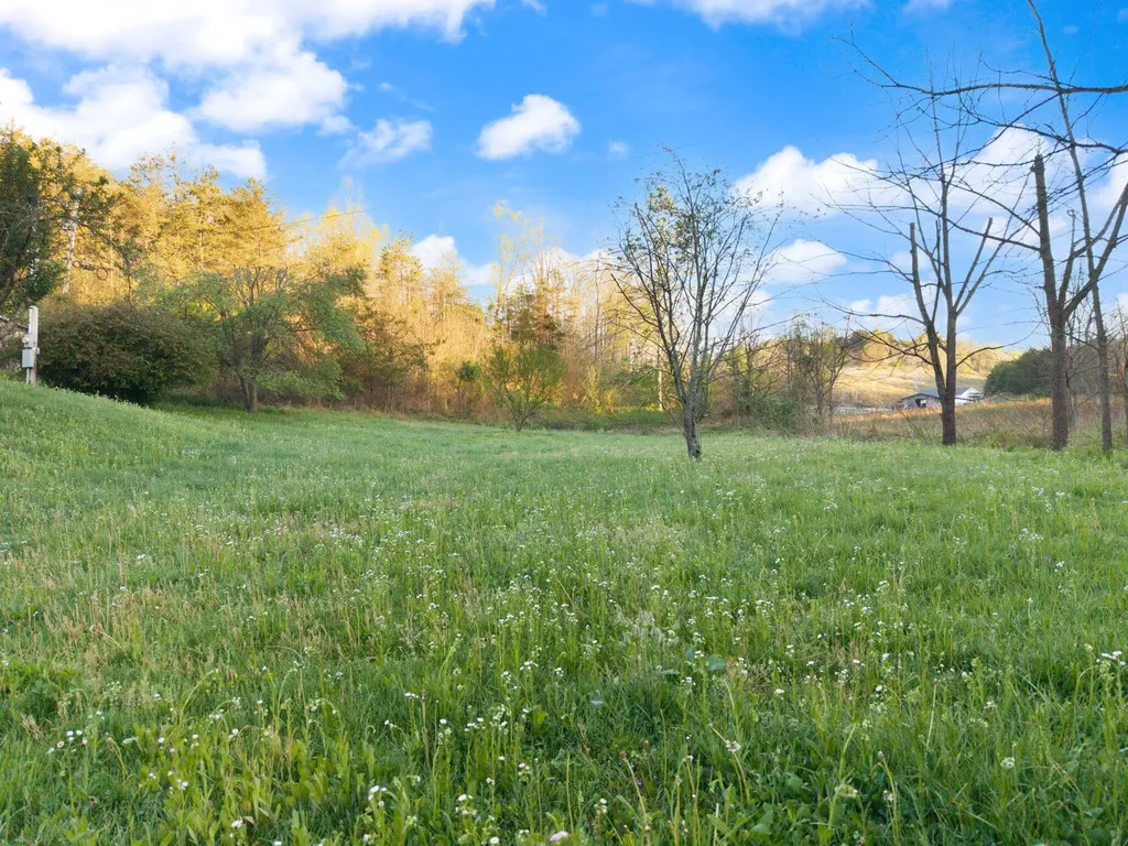 165 Pomeroyton-wellington Road Wellington KY 40387
