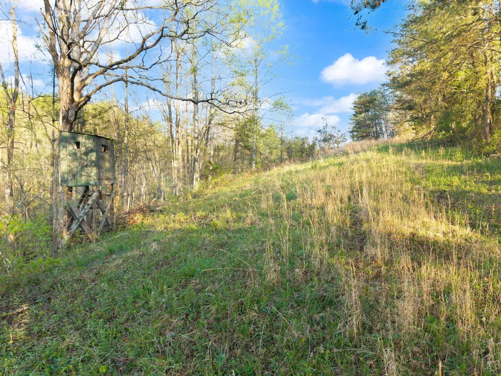 165 Pomeroyton-wellington Road Wellington KY 40387