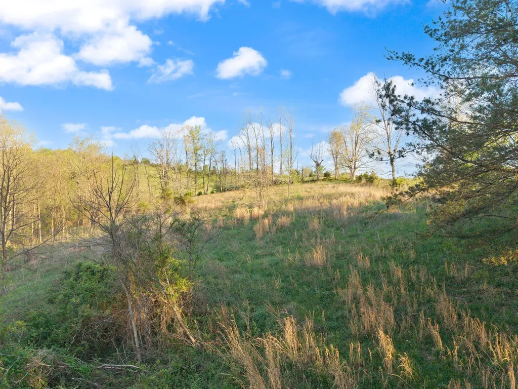 165 Pomeroyton-wellington Road Wellington KY 40387