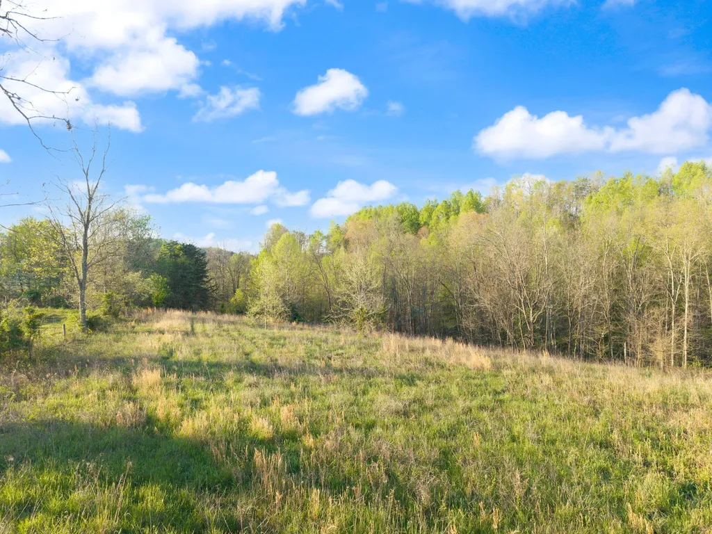 165 Pomeroyton-wellington Road Wellington KY 40387