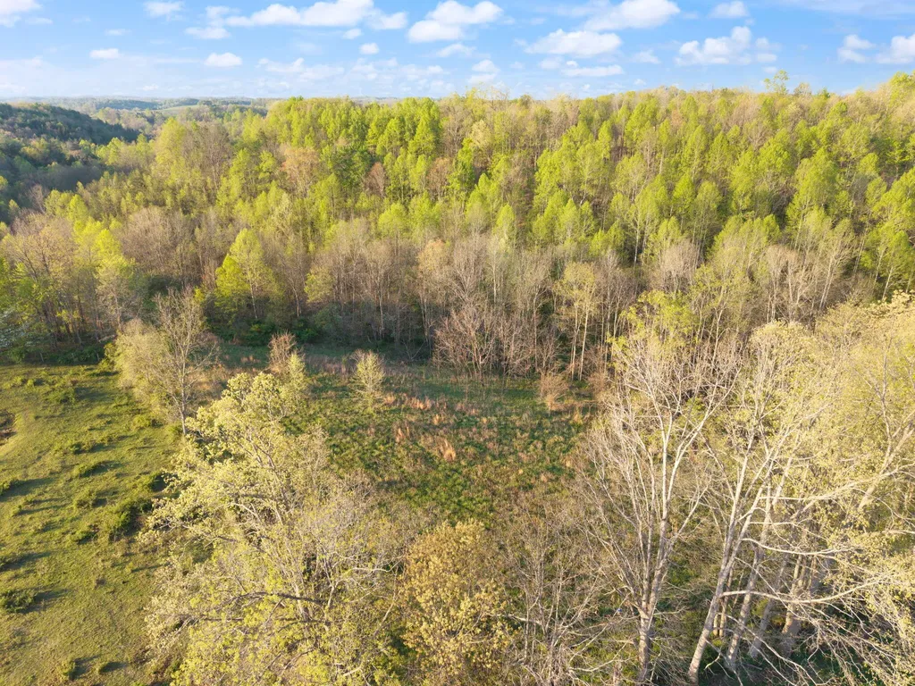 165 Pomeroyton-wellington Road Wellington KY 40387