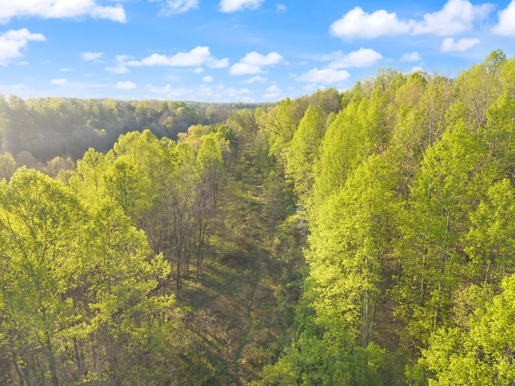 165 Pomeroyton-wellington Road Wellington KY 40387