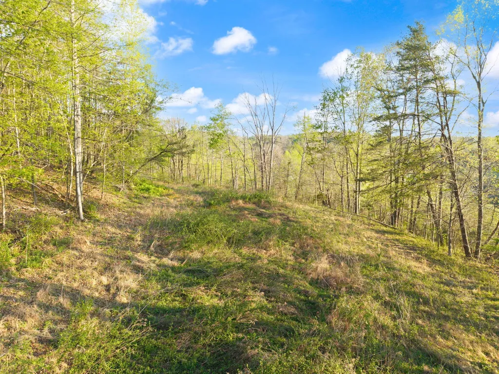 165 Pomeroyton-wellington Road Wellington KY 40387