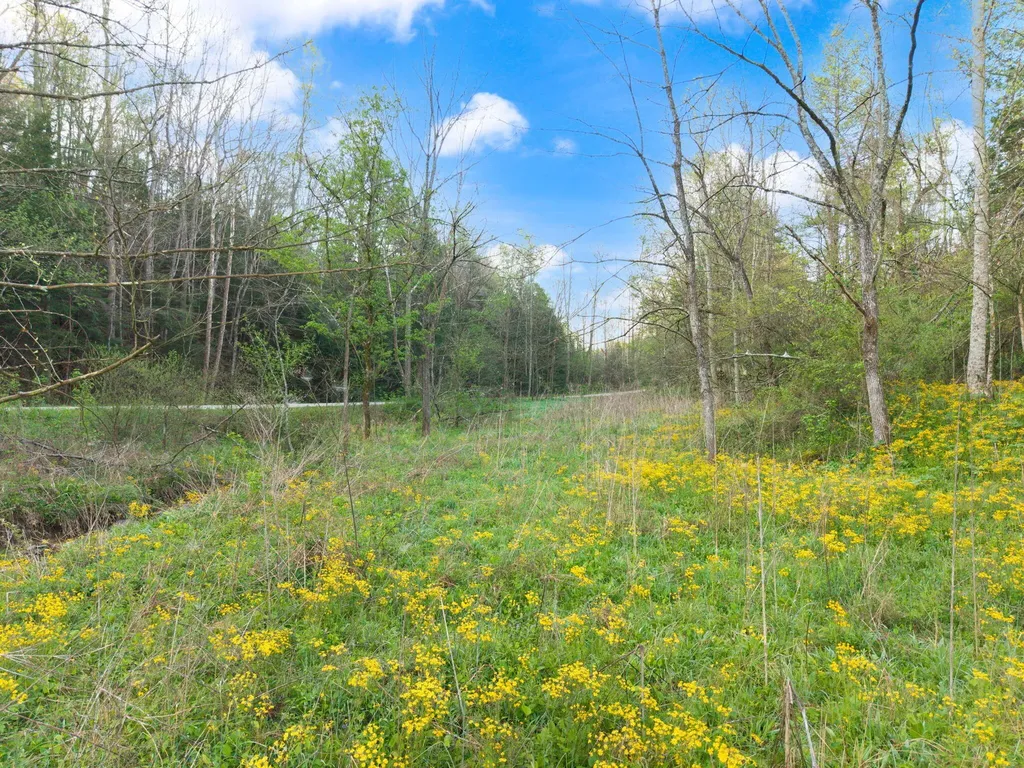 165 Pomeroyton-wellington Road Wellington KY 40387