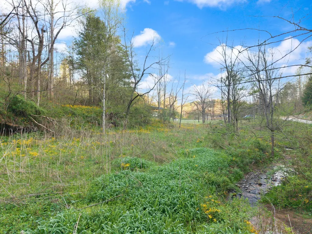 165 Pomeroyton-wellington Road Wellington KY 40387