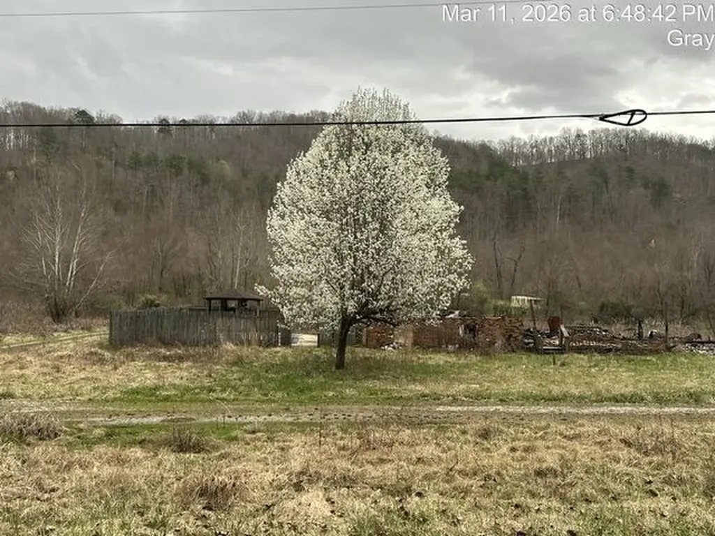 5449 S Key 233 Gray KY 40734