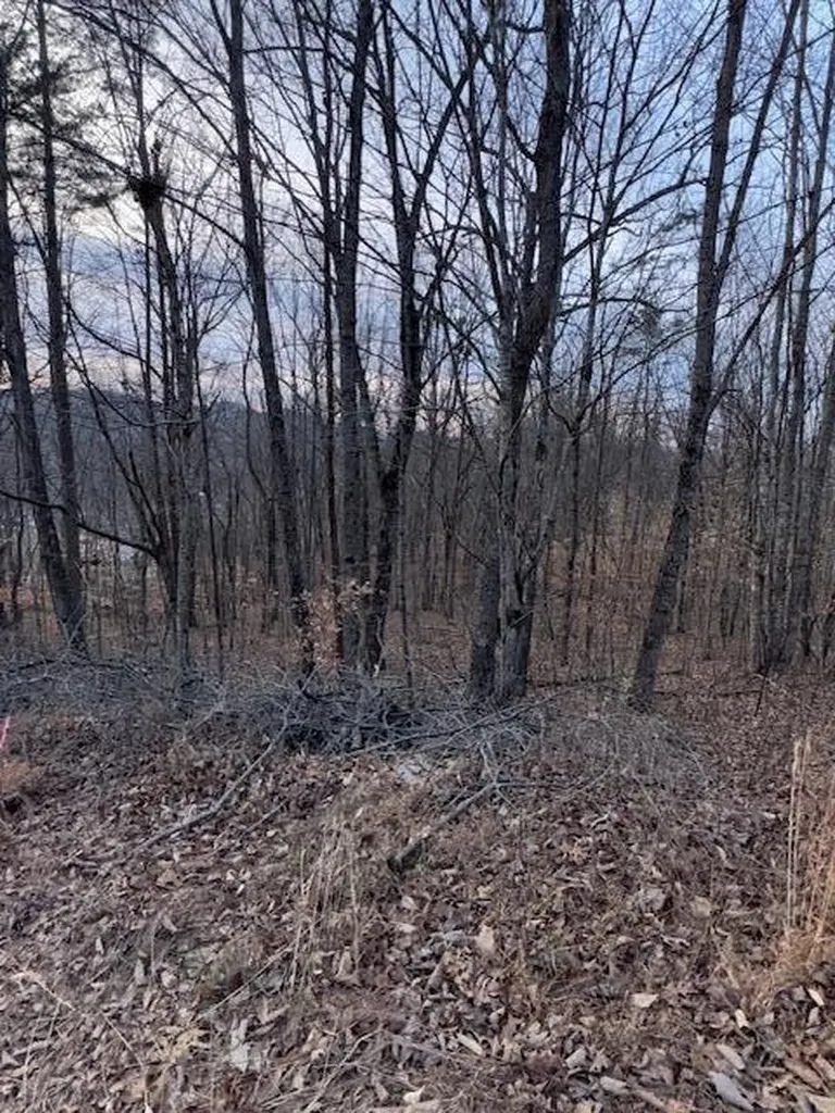3.31 King Mountain Road Williamsburg KY 40769