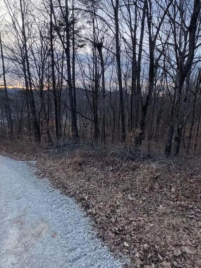 3.31 King Mountain Road Williamsburg KY 40769