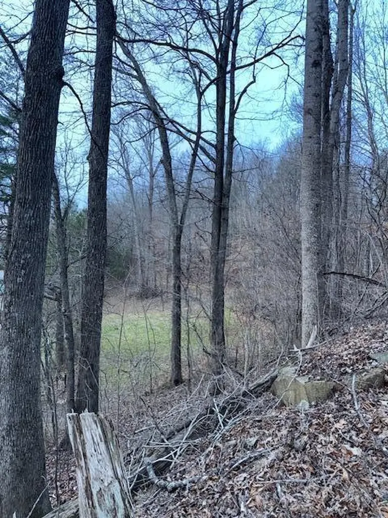 3.31 King Mountain Road Williamsburg KY 40769