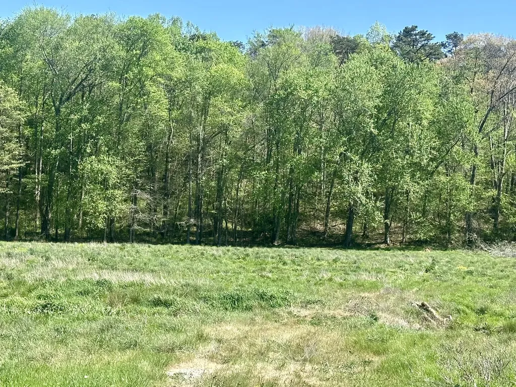 9999 Slate Lick Road London KY 40741