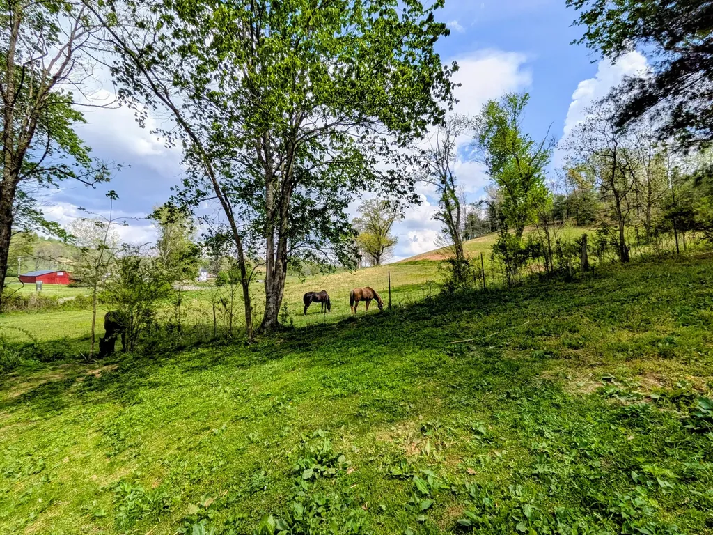 12251 Us Highway 421 Tyner KY 40486