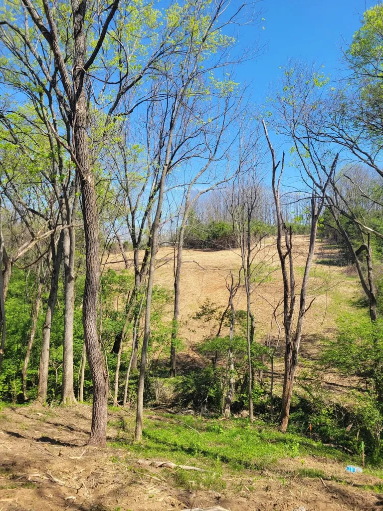 511 Upper Hines Creek Road Richmond KY 40475
