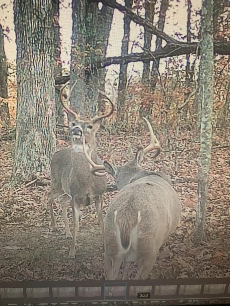 127 Mccoy Branch Road Louisa KY 41230