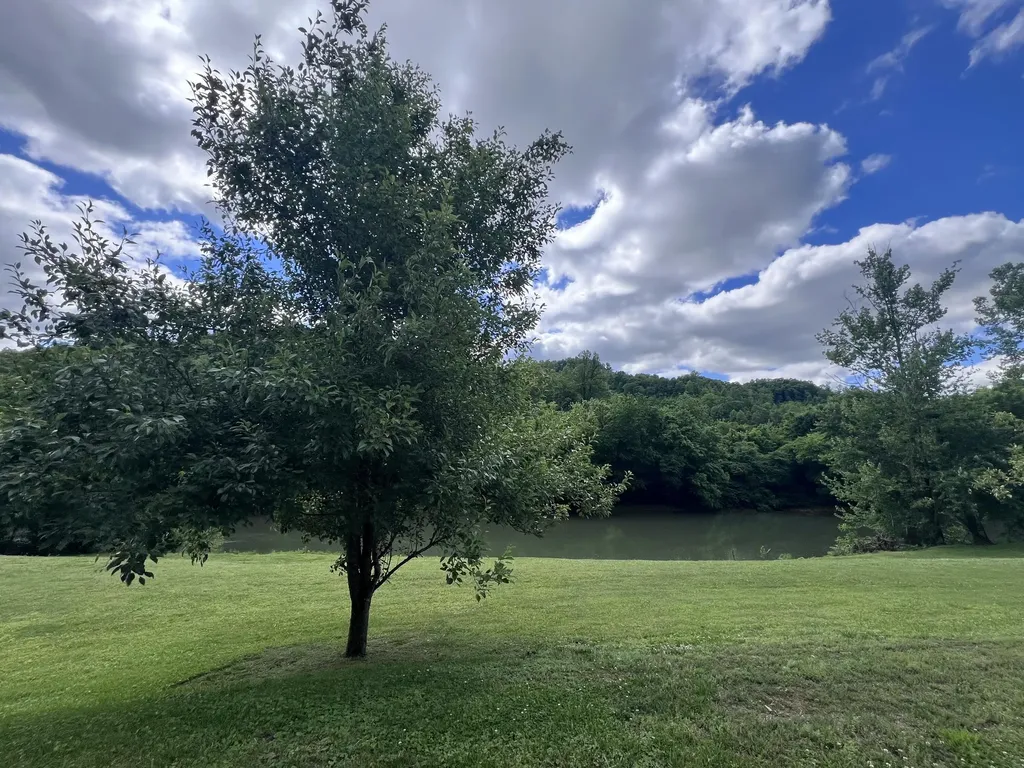 59 River Road Miracle KY 40856