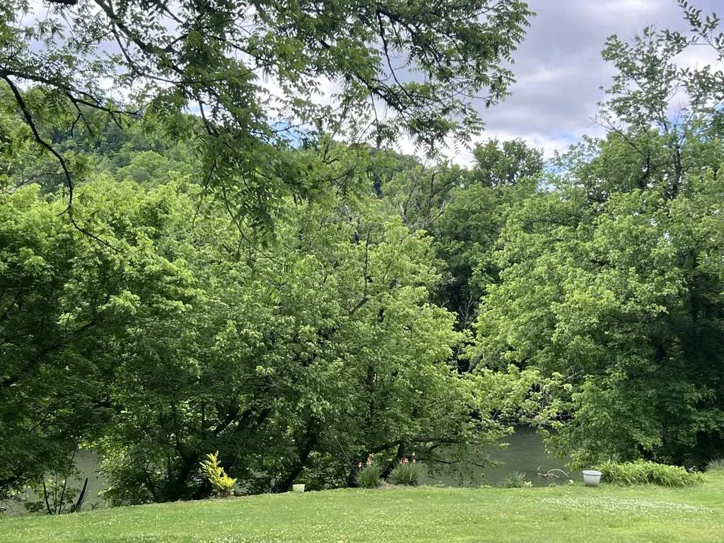 59 River Road Miracle KY 40856
