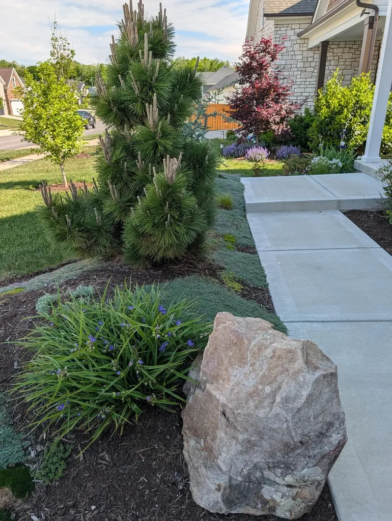 1356 Angus Trail Lexington KY 40509