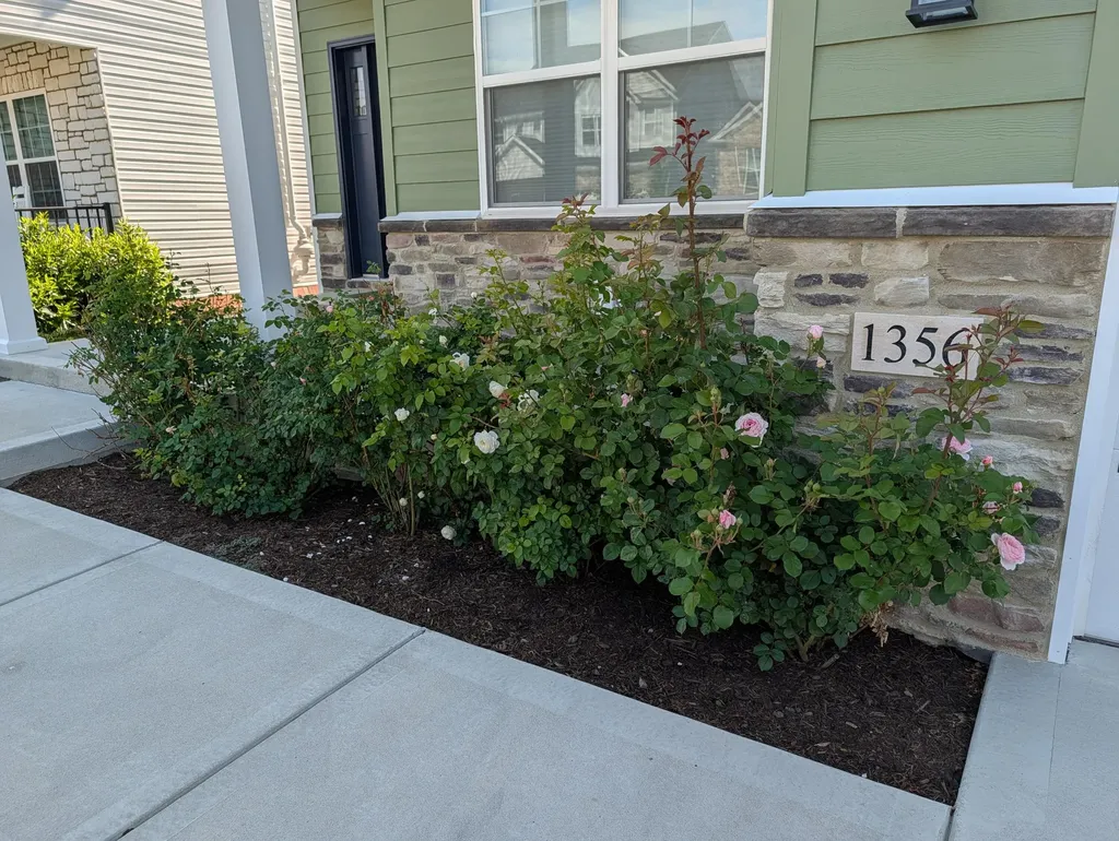 1356 Angus Trail Lexington KY 40509