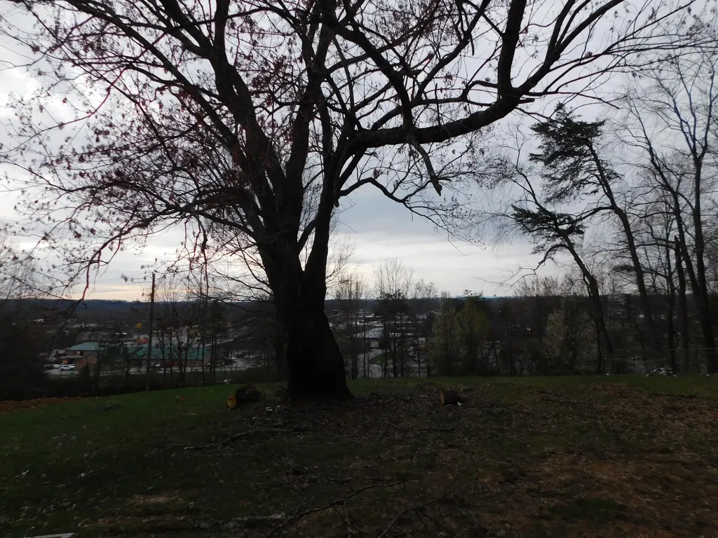 1634 Senator Lane London KY 40741