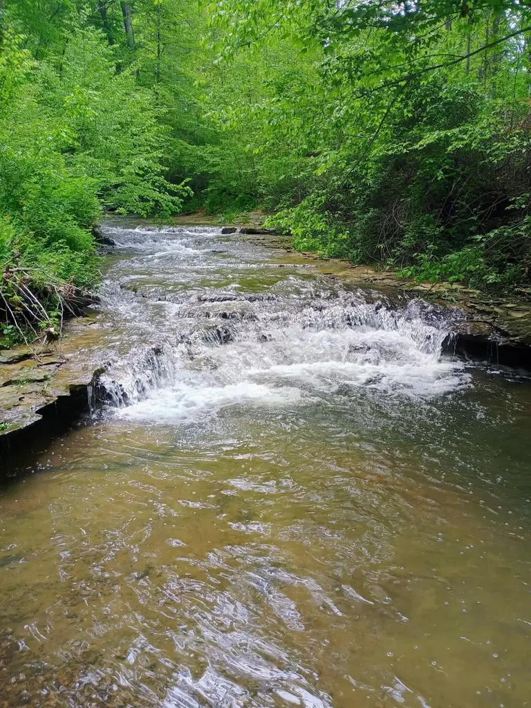 495 Clear Fork Branch Road Eubank KY 42567