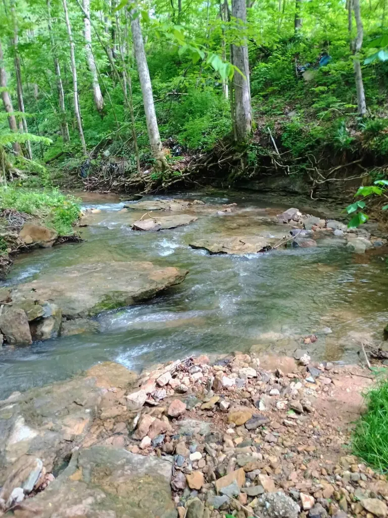 495 Clear Fork Branch Road Eubank KY 42567