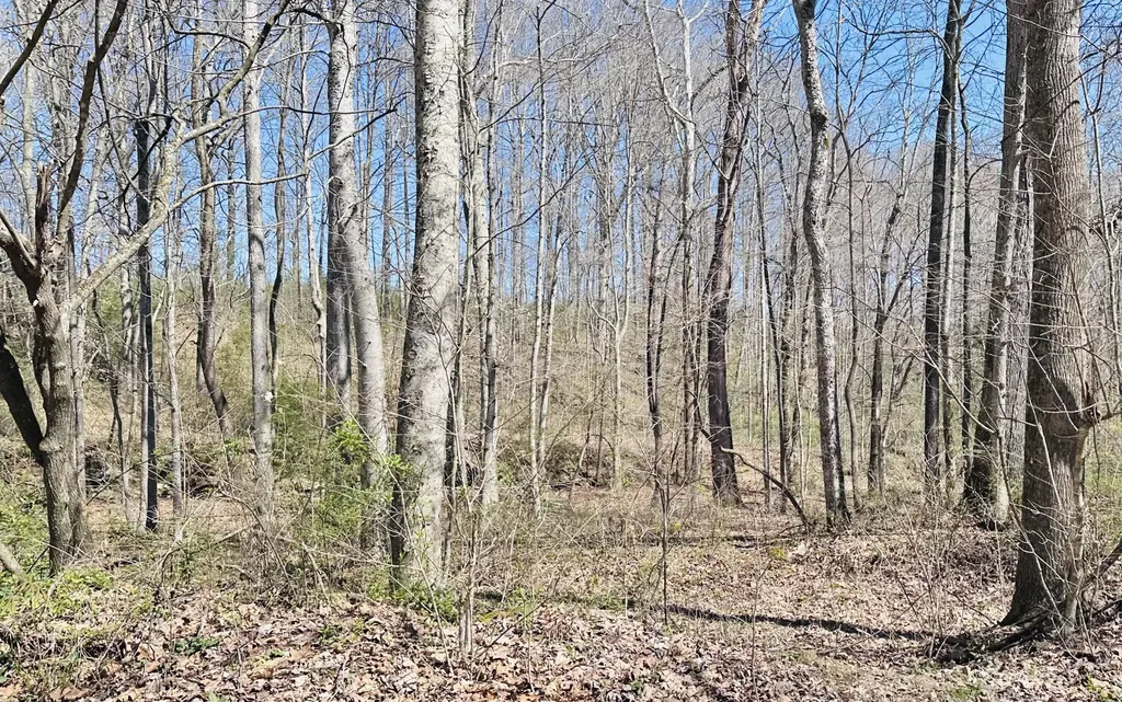 495 Clear Fork Branch Road Eubank KY 42567