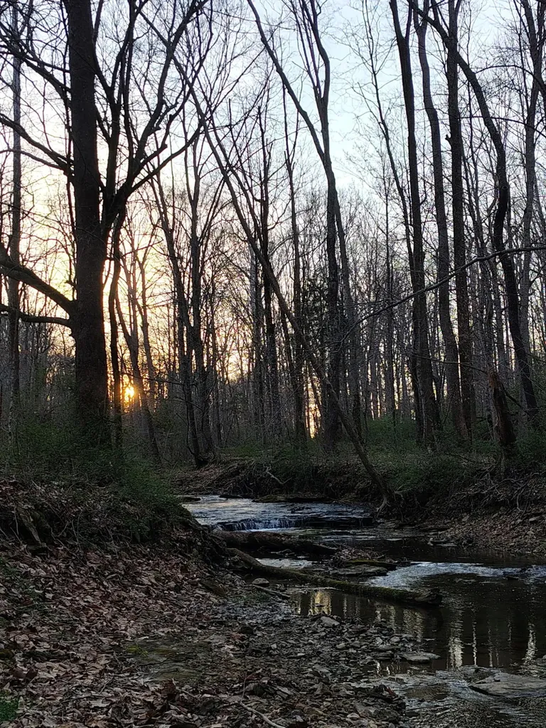 495 Clear Fork Branch Road Eubank KY 42567