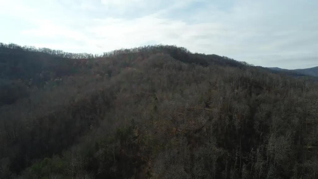 554 Sukey Hollow Road Williamsburg KY 40769