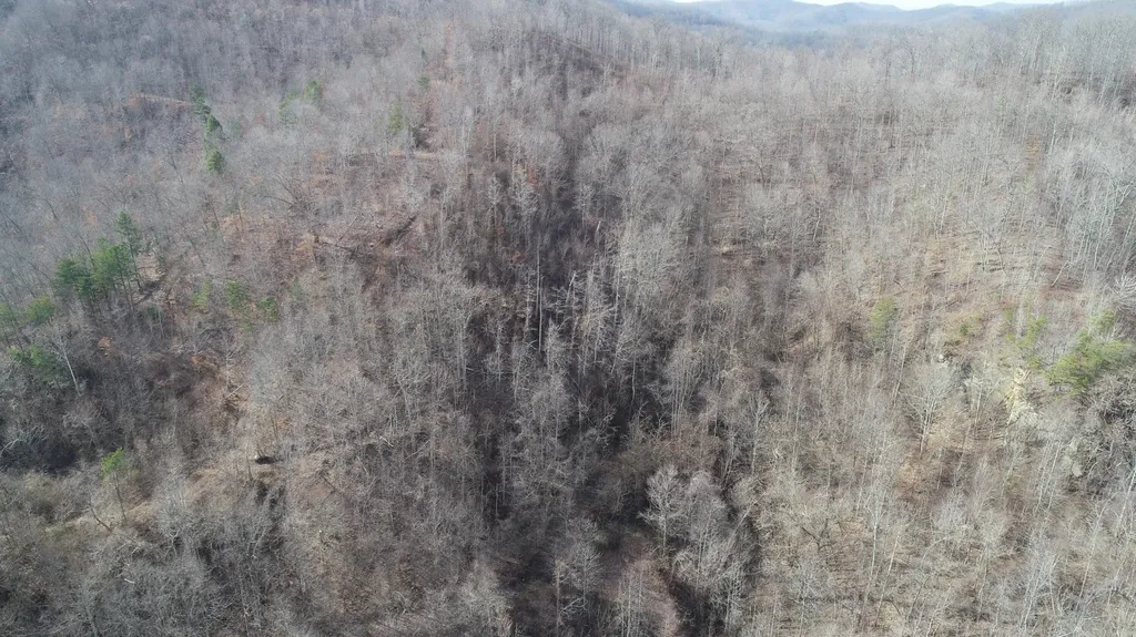 554 Sukey Hollow Road Williamsburg KY 40769