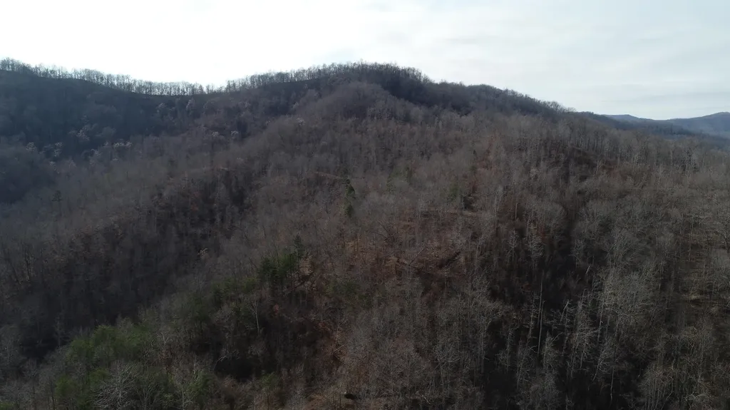 554 Sukey Hollow Road Williamsburg KY 40769