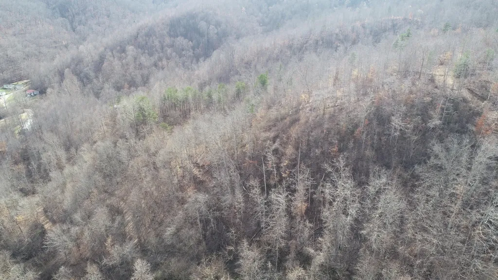 554 Sukey Hollow Road Williamsburg KY 40769