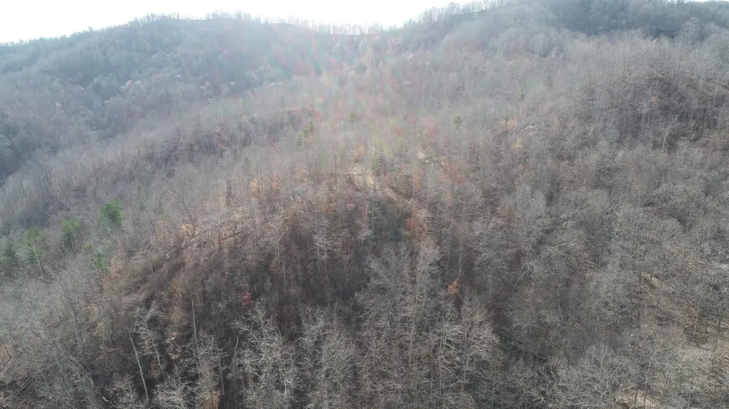 554 Sukey Hollow Road Williamsburg KY 40769