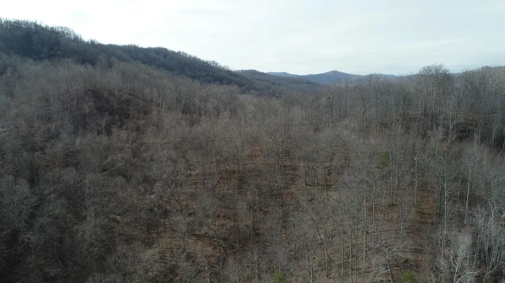 554 Sukey Hollow Road Williamsburg KY 40769