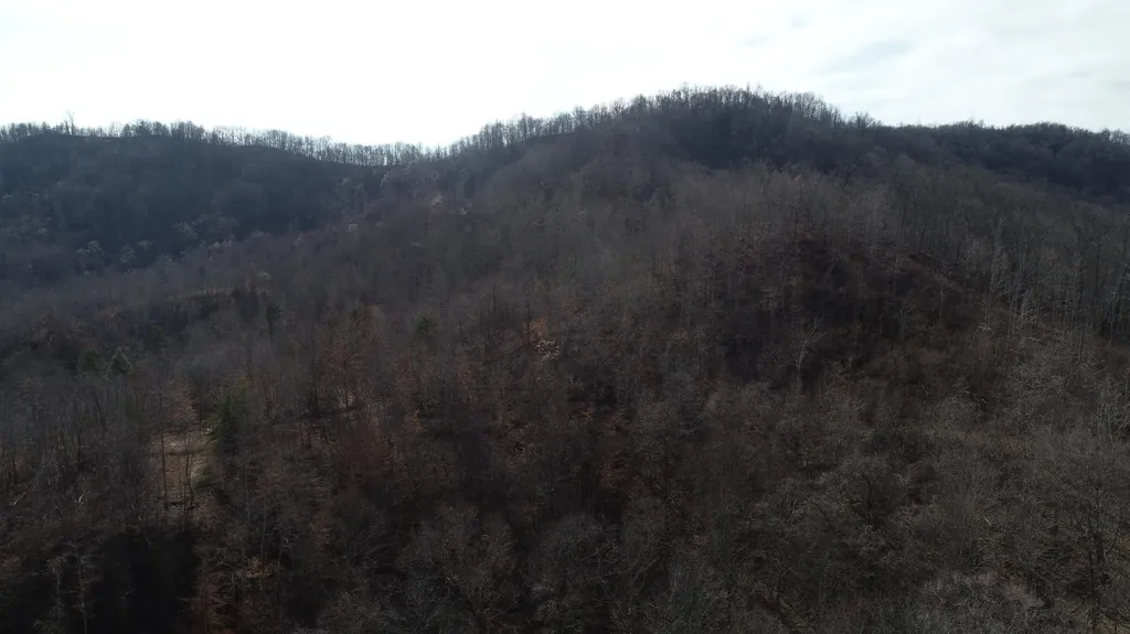 554 Sukey Hollow Road Williamsburg KY 40769