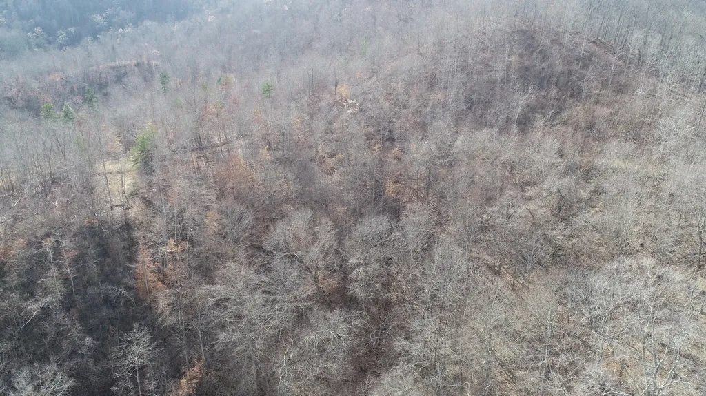 554 Sukey Hollow Road Williamsburg KY 40769