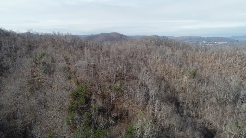 554 Sukey Hollow Road Williamsburg KY 40769