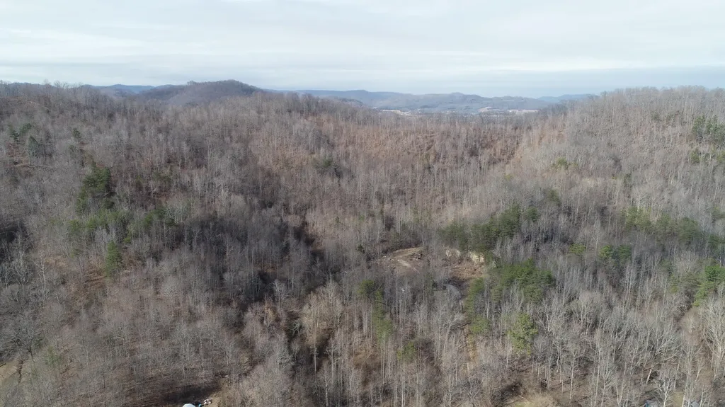 554 Sukey Hollow Road Williamsburg KY 40769